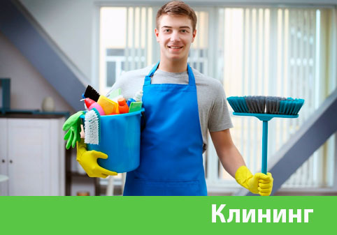 Клининг в городе Мытищи